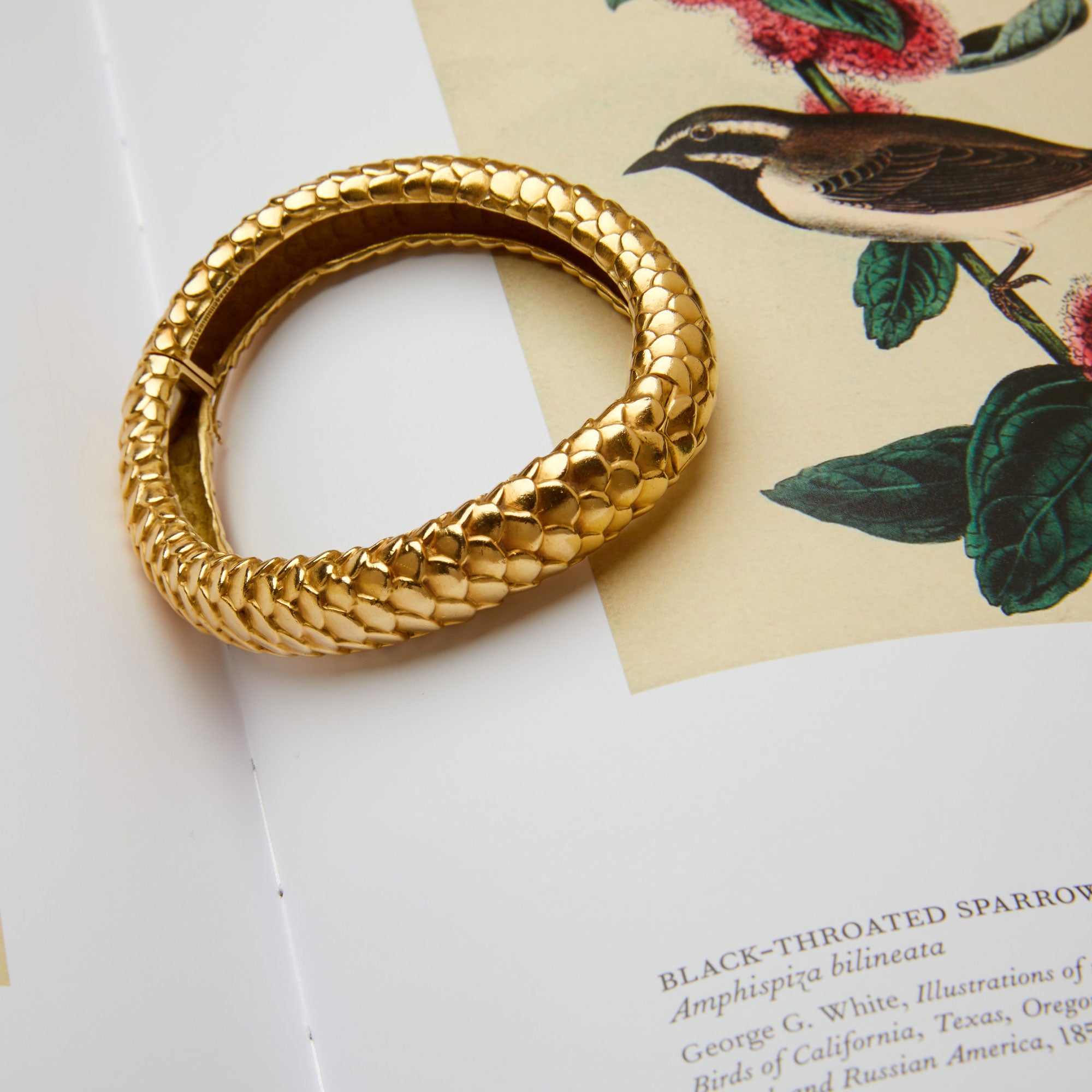 Angela Cummings 18K Yellow Gold Fish Scale Bracelet – Tiina Smith