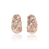 Harry Winston Colored Diamond and Diamond Earrings